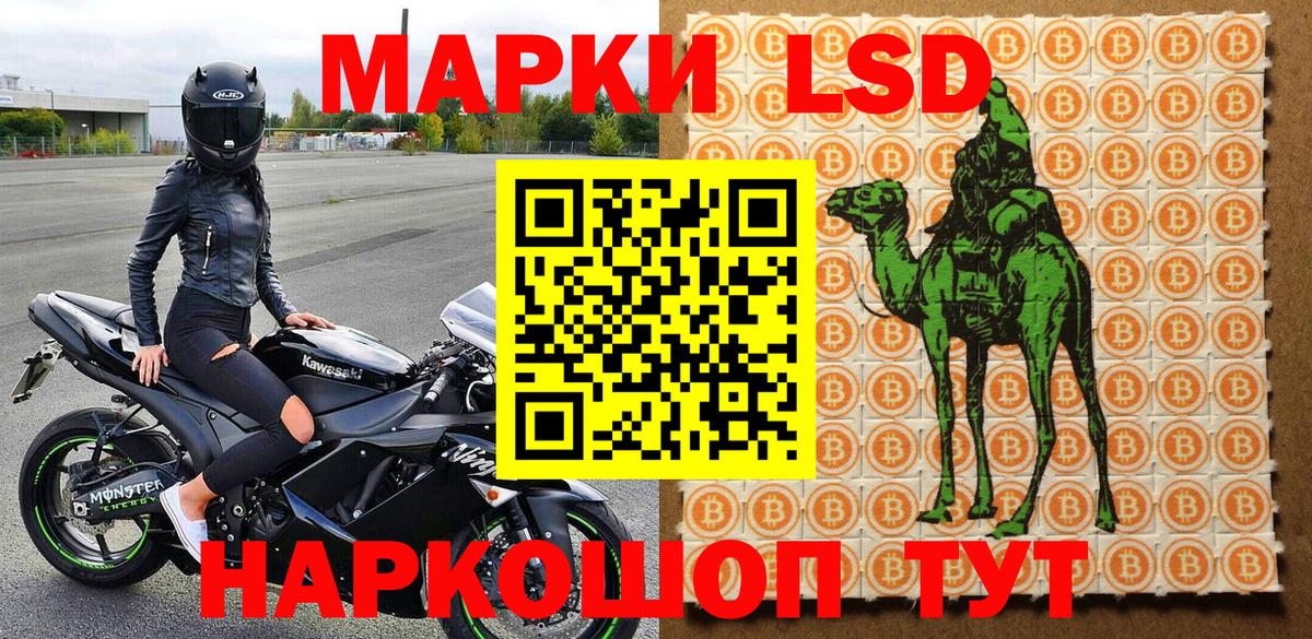 Котельники  Марки NBOMe 1,8мг  Вход с VPN  даркнет сайт  Марки NBOMe 1,8мг 
