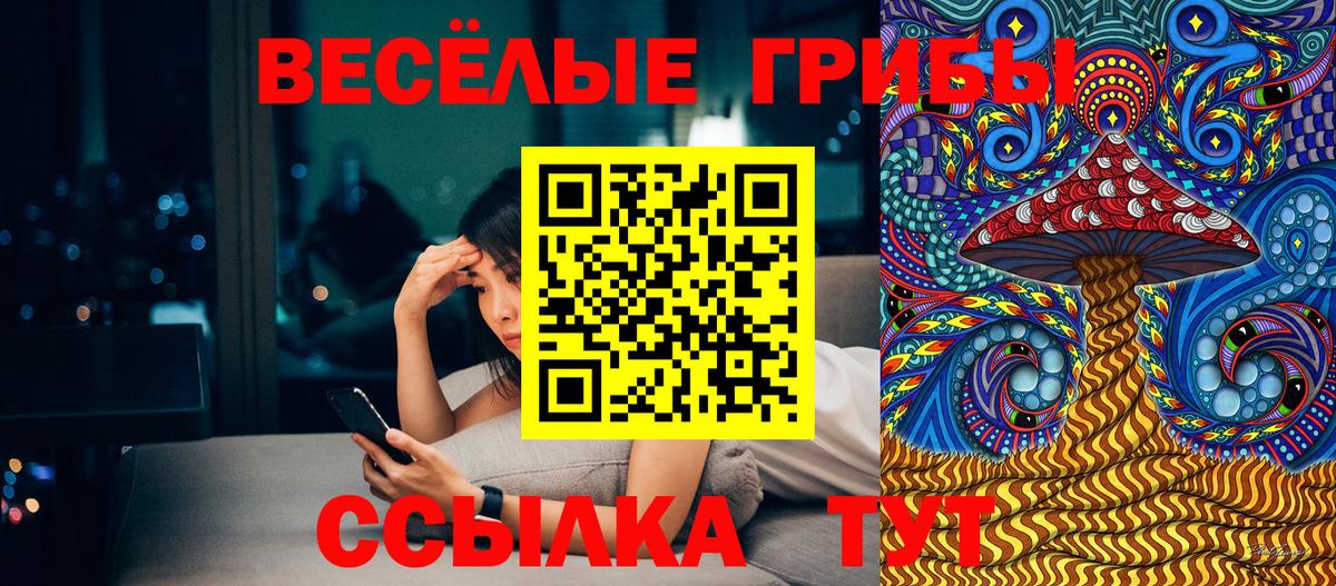 Котельники  Псилоцибиновые грибы Cubensis  Вход с VPN 